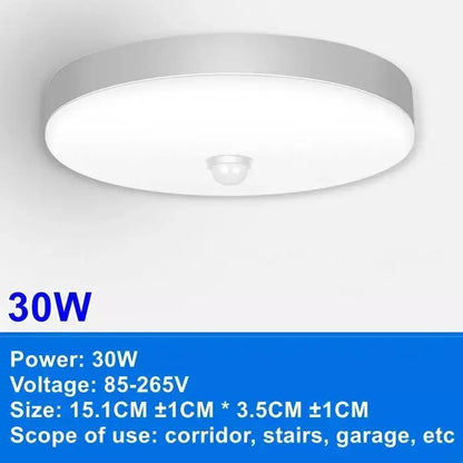 30W-Ceiling Light / Warm White / AC220V