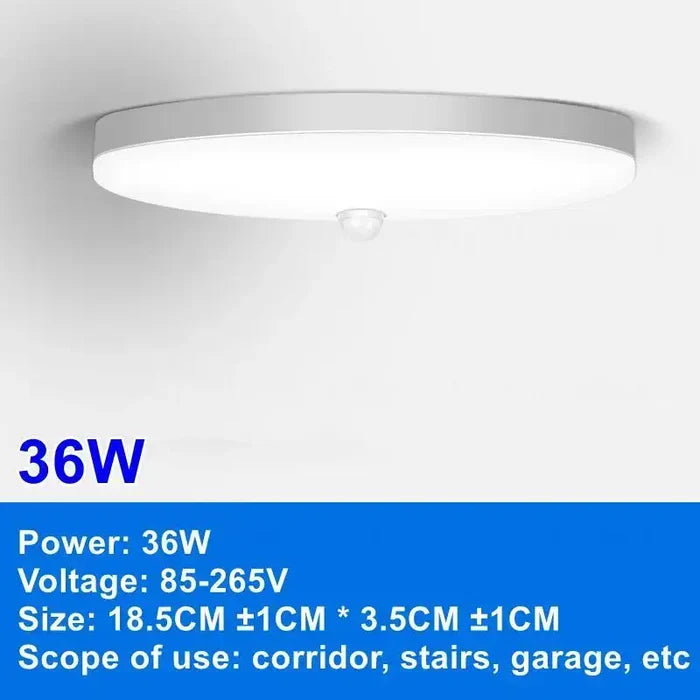 36W-Ceiling Light / Warm White / AC220V