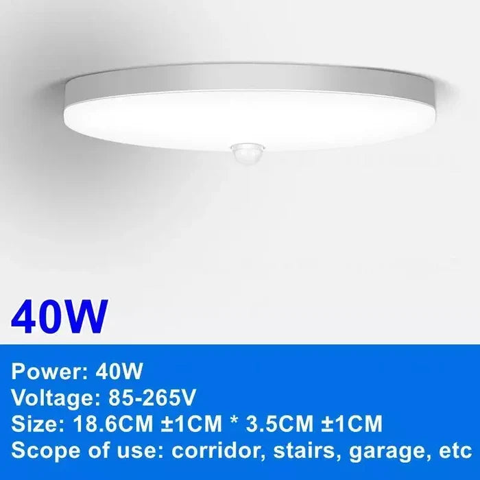 40W-Ceiling Light / Warm White / AC220V
