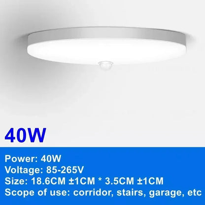 40W-Ceiling Light / Warm White / AC220V