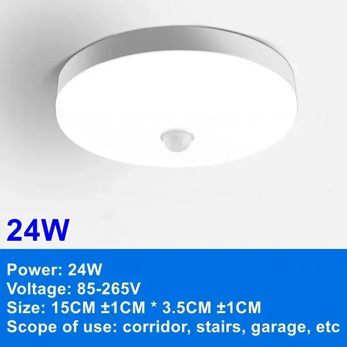 24W-Ceiling Light / Warm White / AC220V