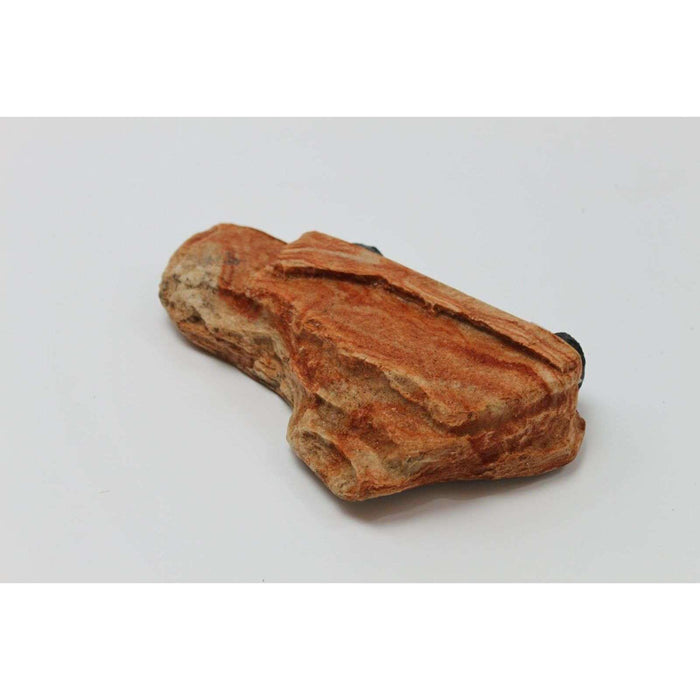 MagNaturals Magnetic Rock Ledge:Jungle Bob's Reptile World