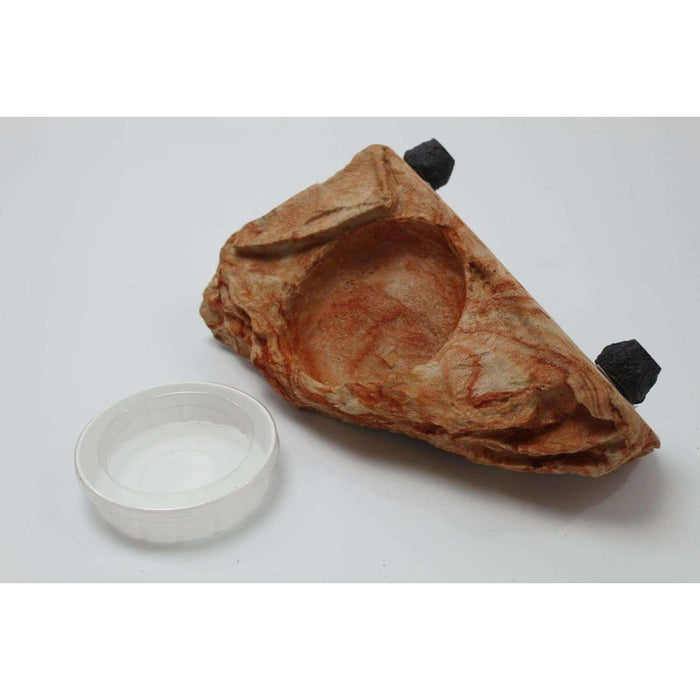 Magnaturals Magnetic Worm Feeder Ledge:Jungle Bob's Reptile World