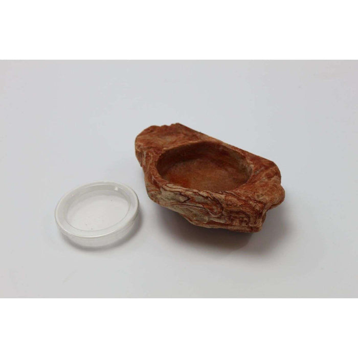 Magnaturals Magnetic Worm Feeder Ledge:Jungle Bob's Reptile World