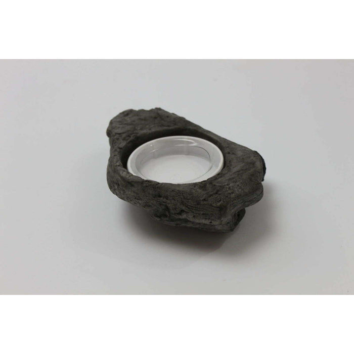 Magnaturals Magnetic Worm Feeder Ledge:Jungle Bob's Reptile World