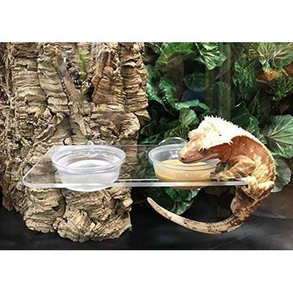 Pangea Suction Cup Feed Ledge:Jungle Bob's Reptile World