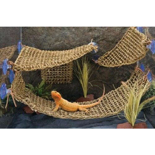 Penn Plax Lizard Lounger Hammock Small:Jungle Bob's Reptile World