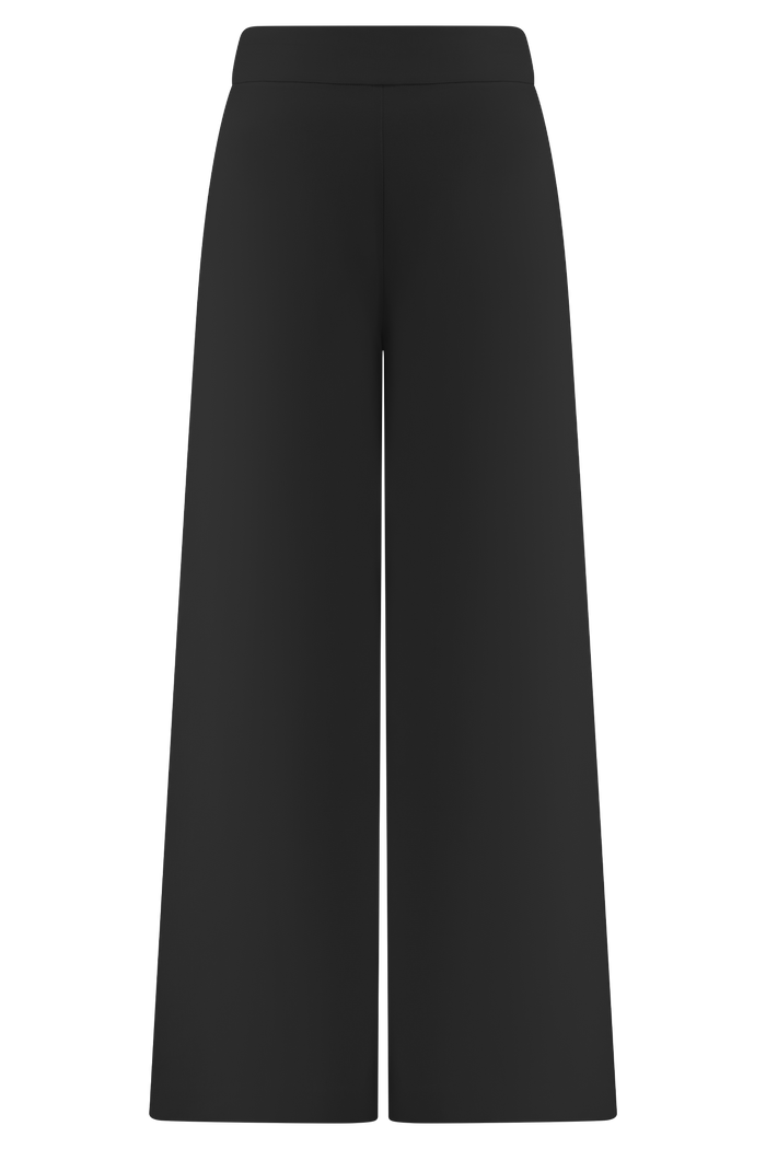 Raya Mid Rise Wide Leg Linen Pant - Black