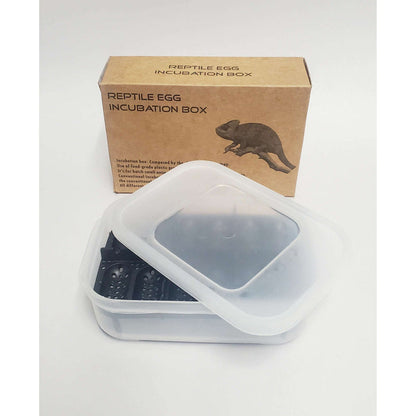 Reptile Egg Incubation Tray by Jungle Bob 6"x 2"x 4":Jungle Bob's Reptile World
