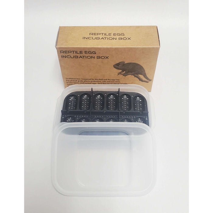 Reptile Egg Incubation Tray by Jungle Bob 6"x 2"x 4":Jungle Bob's Reptile World
