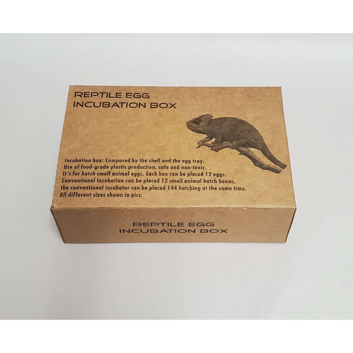 Reptile Egg Incubation Tray by Jungle Bob 6"x 2"x 4":Jungle Bob's Reptile World