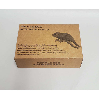 Reptile Egg Incubation Tray by Jungle Bob 6"x 2"x 4":Jungle Bob's Reptile World