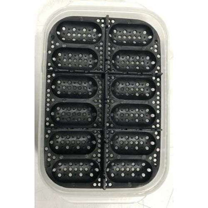 Reptile Egg Incubation Tray by Jungle Bob 6"x 2"x 4":Jungle Bob's Reptile World