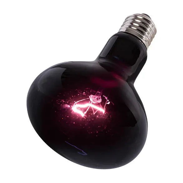 REPTIZOO - Moonlight Heat Spot Lamp - 35W (D63035)