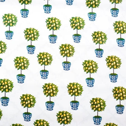 Reversible Lemon Topiary with Trellis Gift Wrap - The Mayfair Hall