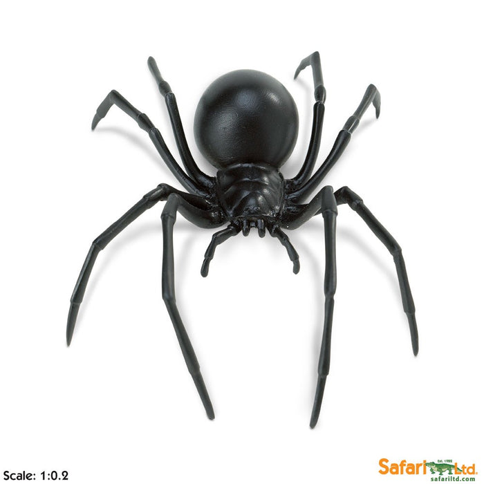 Safari Black Widow Spider
