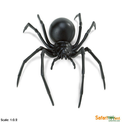 Safari Black Widow Spider