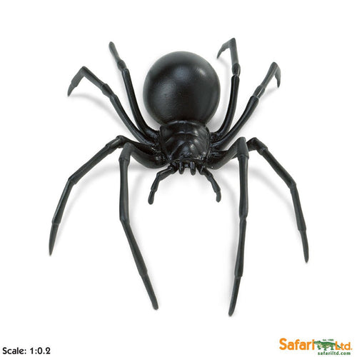 Safari Black Widow Spider