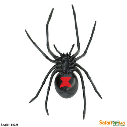 Safari Black Widow Spider