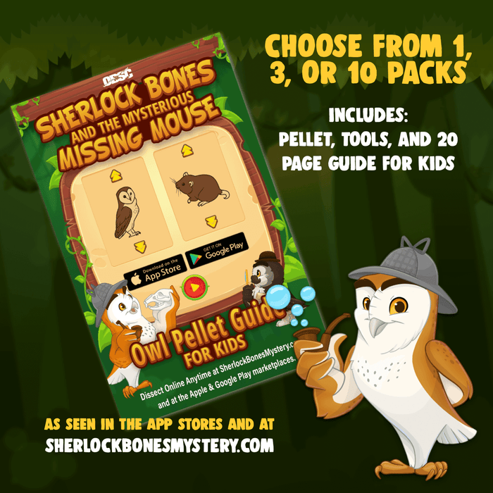 Sherlock Bones 1, 3, and 10 Pack + Tools + Guide