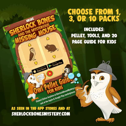 Sherlock Bones 1, 3, and 10 Pack + Tools + Guide