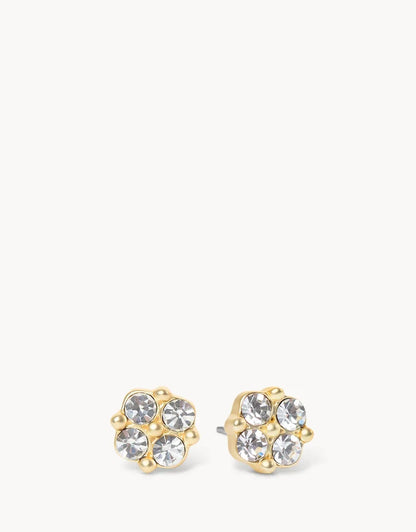 Spartina 449: Sea La Vie Stud Earrings Blessed/Crystal Clover - B Social Boutique