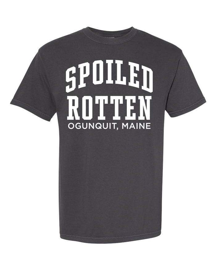 Spoiled Rotten Graphite Short Sleeve Adult T-Shirt