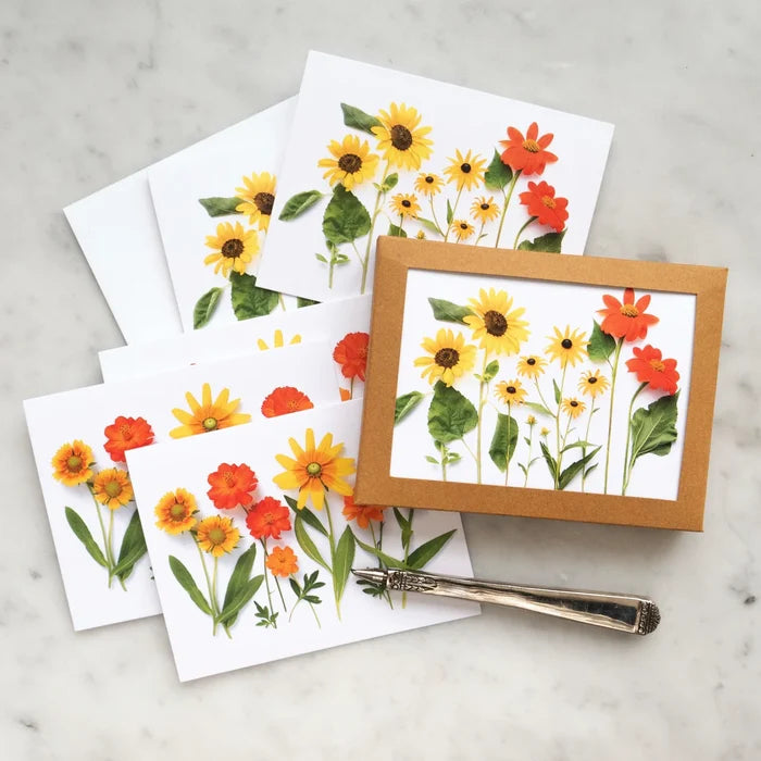 Summer Sunflowers Boxed Card Set
