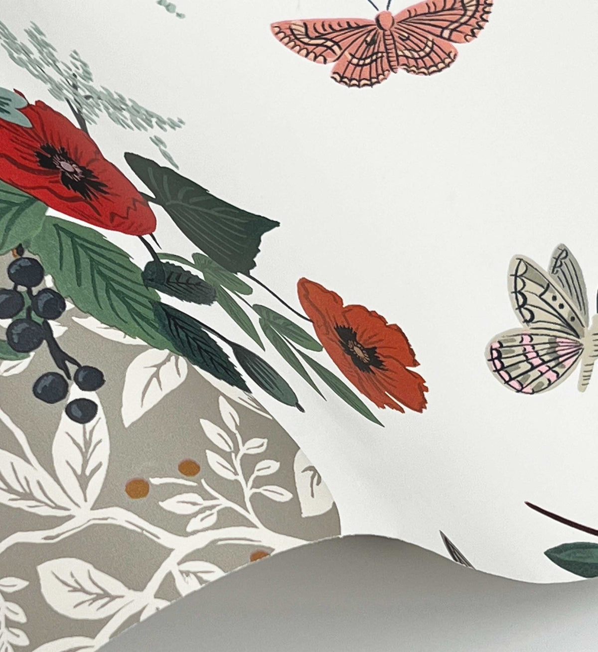 Flower Studies Wallpaper - Rose Multi