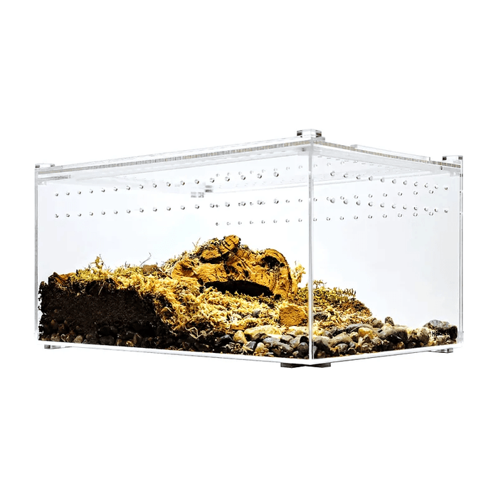 YKL25B HerpCult Acrylic Terrarium for Reptiles Clear Top Large Flat 12"x8"x6":Jungle Bob's Reptile World