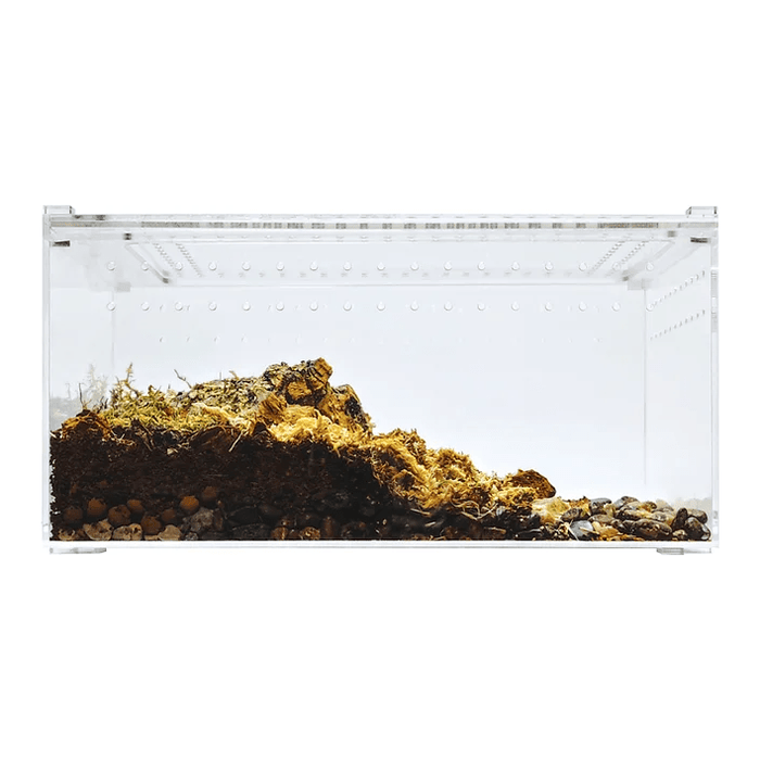 YKL25B HerpCult Acrylic Terrarium for Reptiles Clear Top Large Flat 12"x8"x6":Jungle Bob's Reptile World