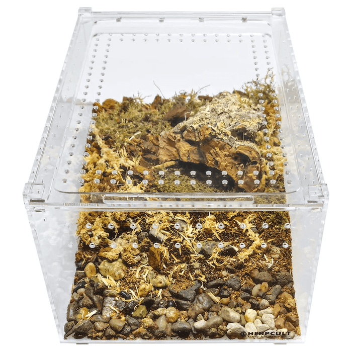 YKL25B HerpCult Acrylic Terrarium for Reptiles Clear Top Large Flat 12"x8"x6":Jungle Bob's Reptile World