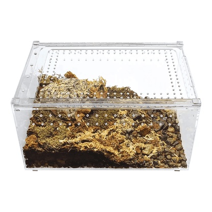YKL25B HerpCult Acrylic Terrarium for Reptiles Clear Top Large Flat 12"x8"x6":Jungle Bob's Reptile World