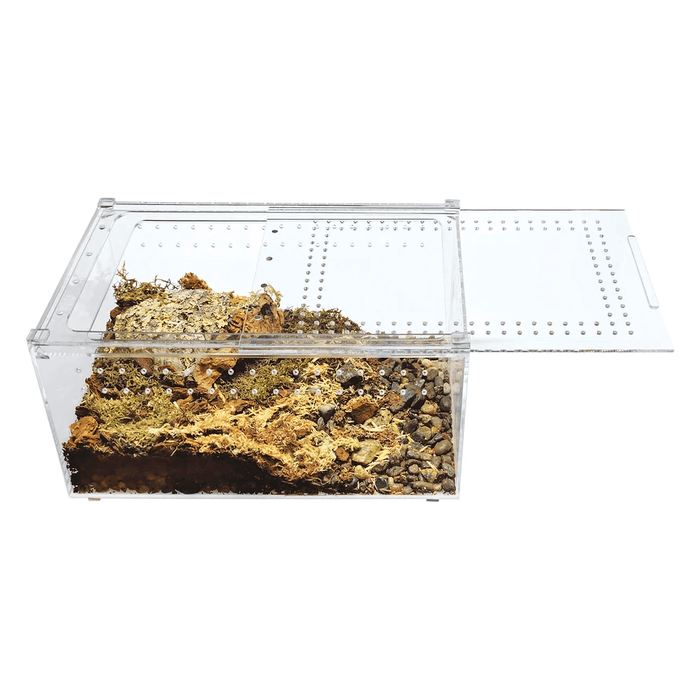 YKL25B HerpCult Acrylic Terrarium for Reptiles Clear Top Large Flat 12"x8"x6":Jungle Bob's Reptile World