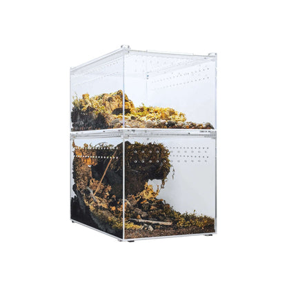 YKL25B HerpCult Acrylic Terrarium for Reptiles Clear Top Large Flat 12"x8"x6":Jungle Bob's Reptile World