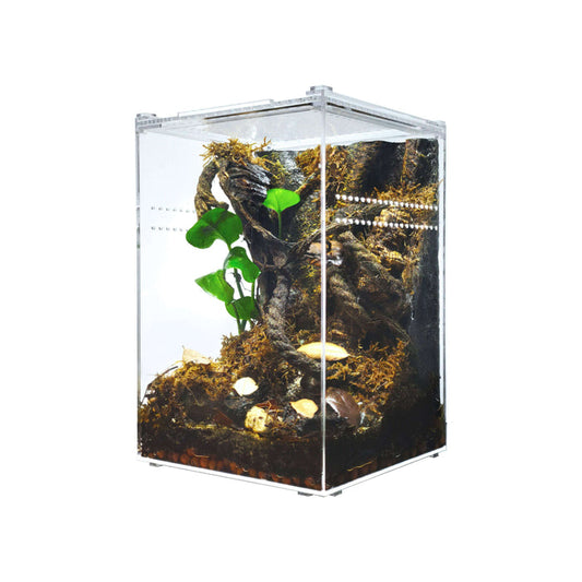 YKL30B HerpCult Acrylic reptile enclosure Large Tall Clear Top 8" x 8" x 12":Jungle Bob's Reptile World